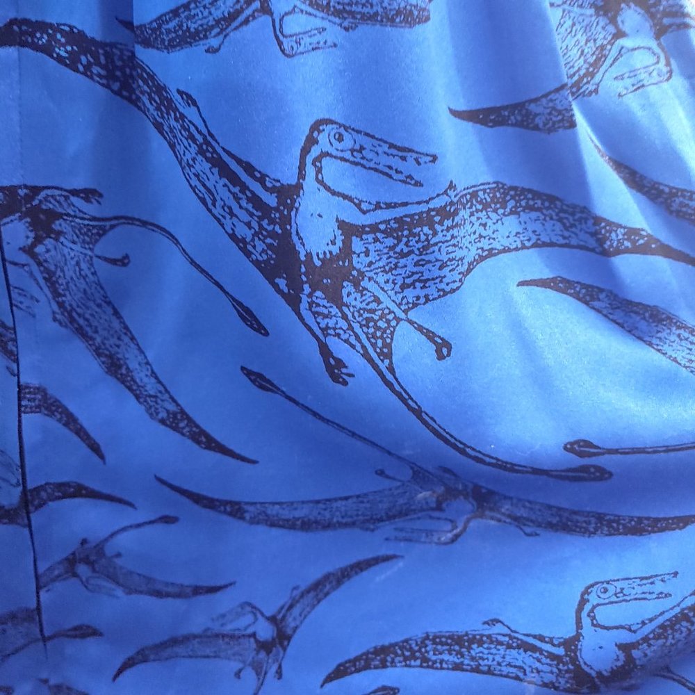 Betsey Johnson Blue and Black Lace-Trim Fit & Flare Pterodactyl Dress - Picture 9 of 9